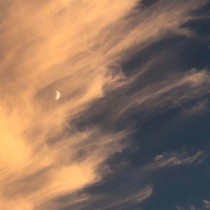 真实偷清晰对白在线视频
